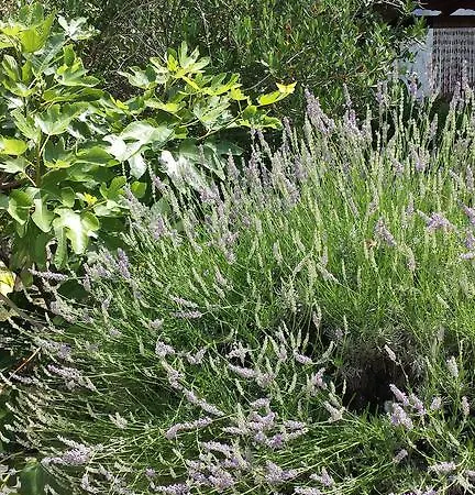 アパート Drescher *