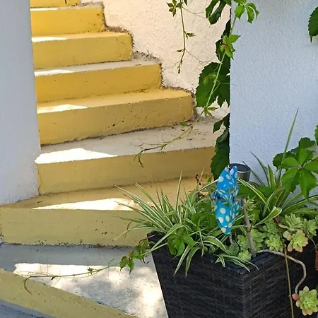 Drescher ムルテル