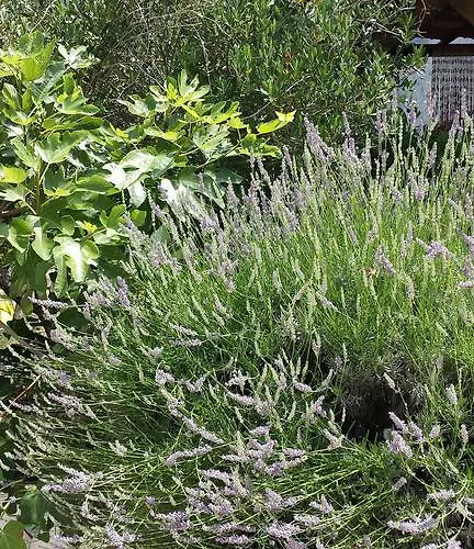 Apartamento Drescher *